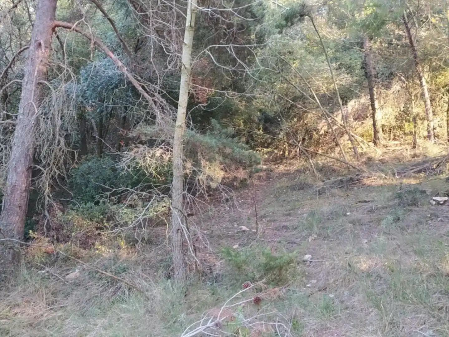 Piso en venta en Vimbodí i Poblet, Tarragona