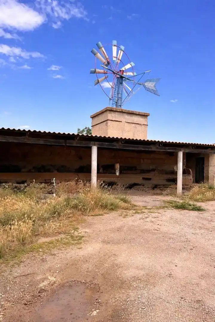 Zimmer in Diseminado 8726- Sa Casa Blanca, 8, Sa Casa Blanca