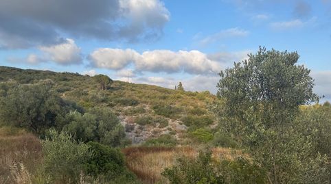 Photo 3 of Country homes for sale in Nord, Vilanova i la Geltrú