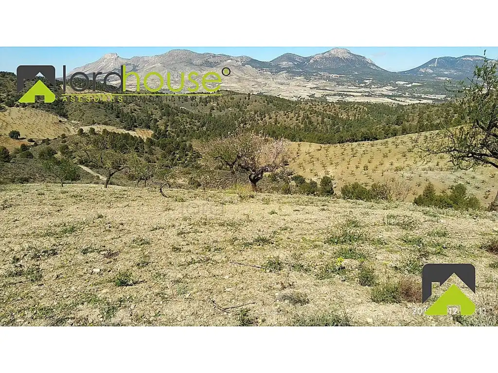 Finca rústica en venta en Lorca