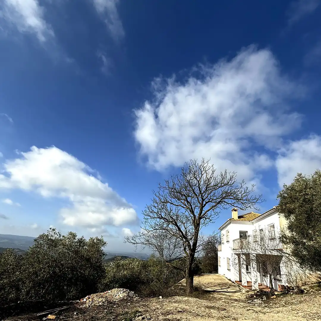 Vista exterior de Casa o chalet en venta en Villanueva de Algaidas con Jardín privado y Terraza