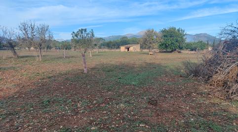 Foto 2 de Terreny en venda a Camí Moscari, 26, Selva, Illes Balears