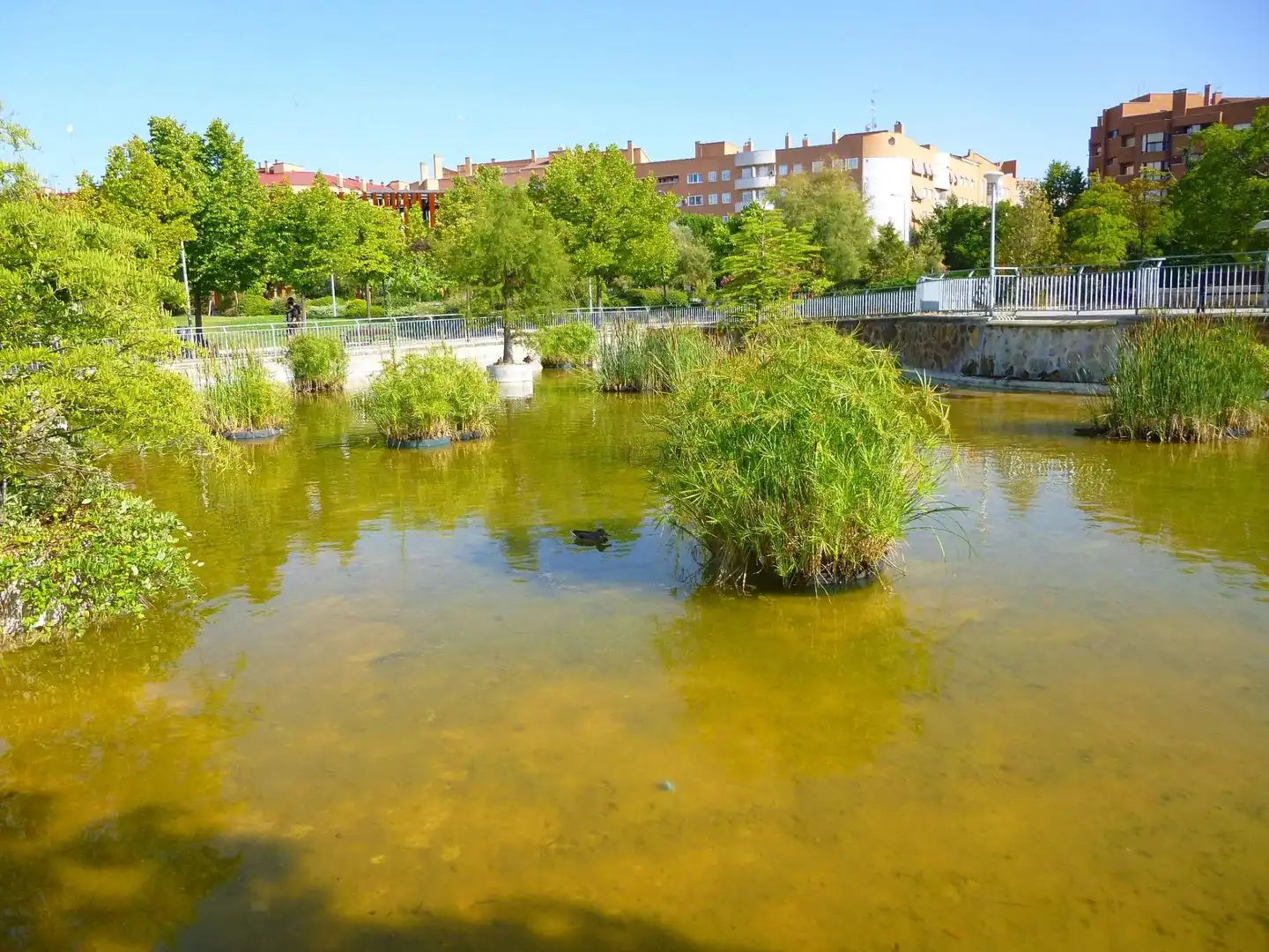 Vista exterior de Apartament en venda en Móstoles