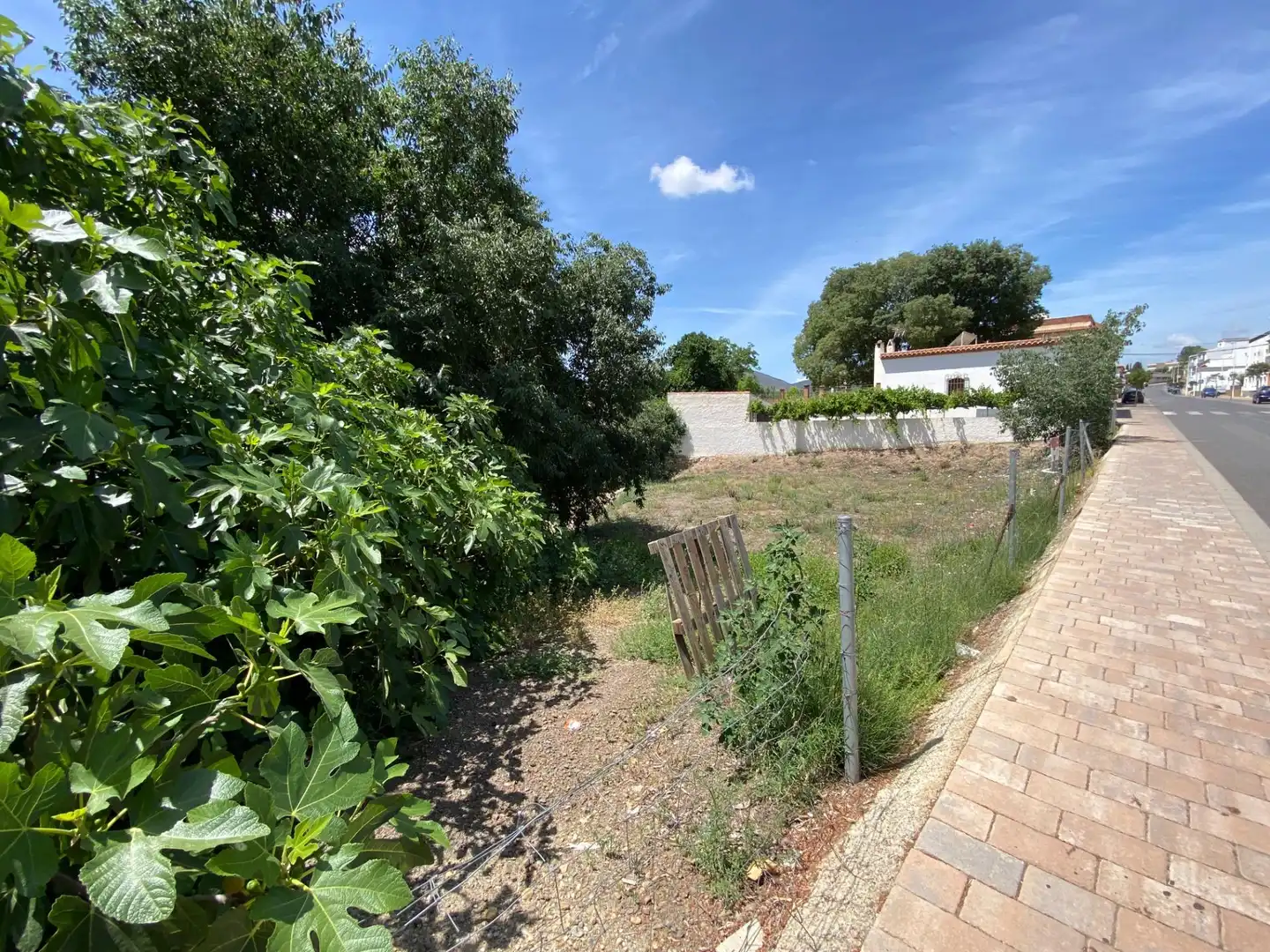 Terreny residencial en venda a Calle de Canalejas 39, imagen 7