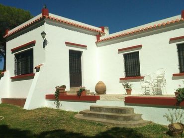 Rural land for sale in La Puebla del Río