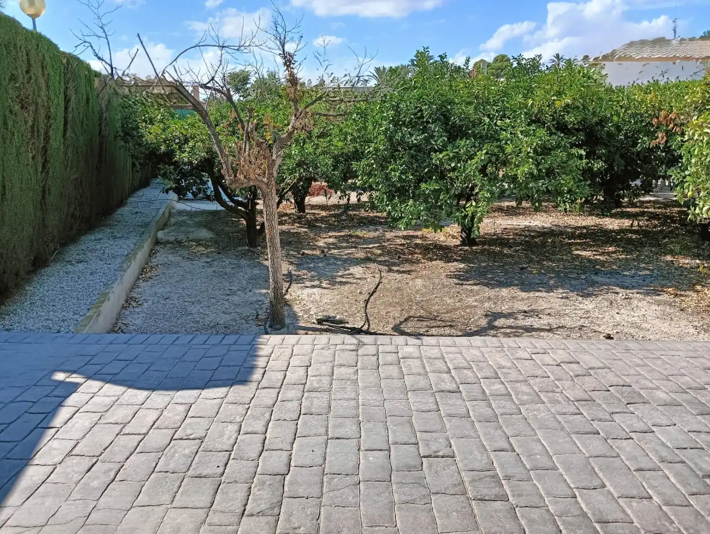 Villa in vendita a Lorca Ciudad, imagen 7