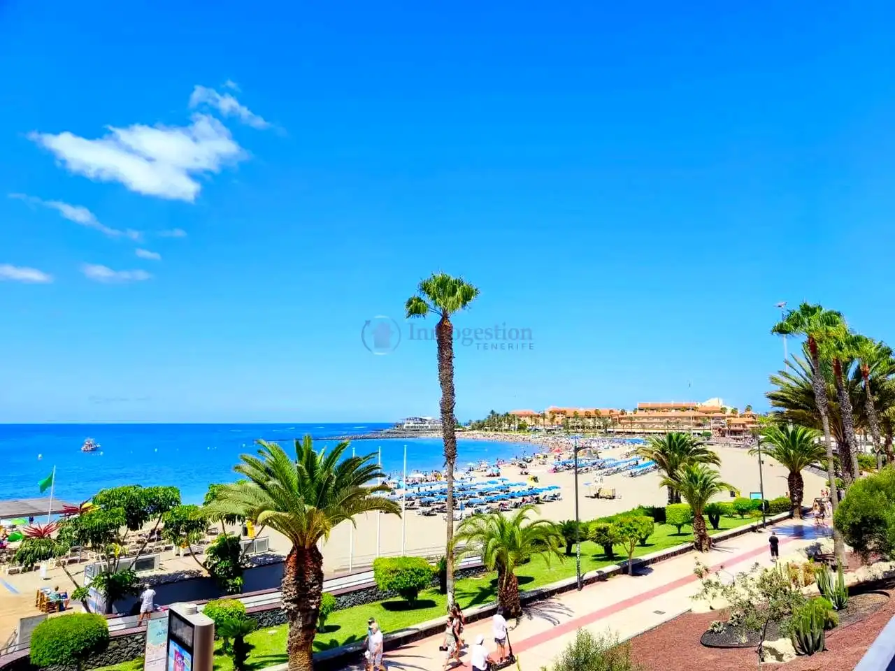 Study for rent in Arona, Santa Cruz de Tenerife