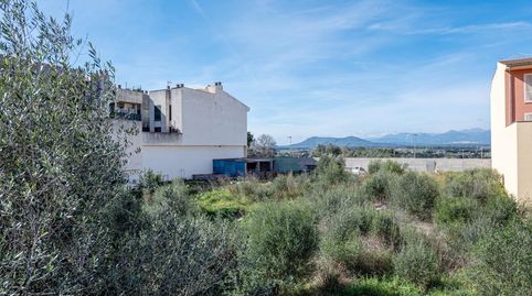 Oportunidad en Muro | Solar urbano de 554 m² con vistas a la montaña, immagine 4