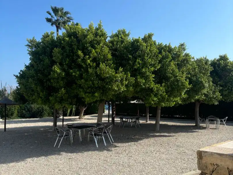 Mini appartamento con piscina in vendita a Calle Clot del Mingot 10, imagen 22