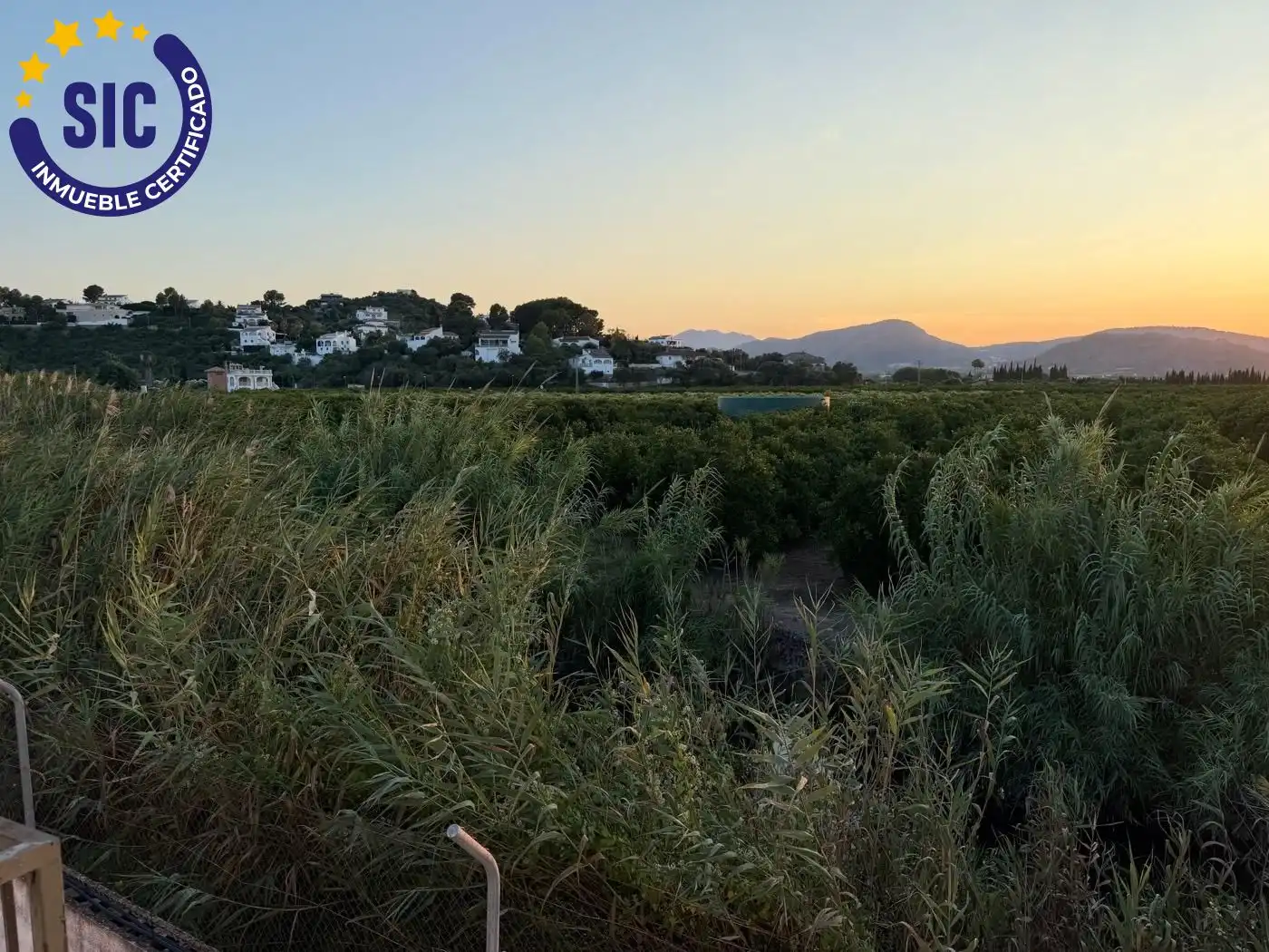Vista exterior de Casa o xalet en venda en Oliva amb Aire condicionat, Jardí privat i Terrassa