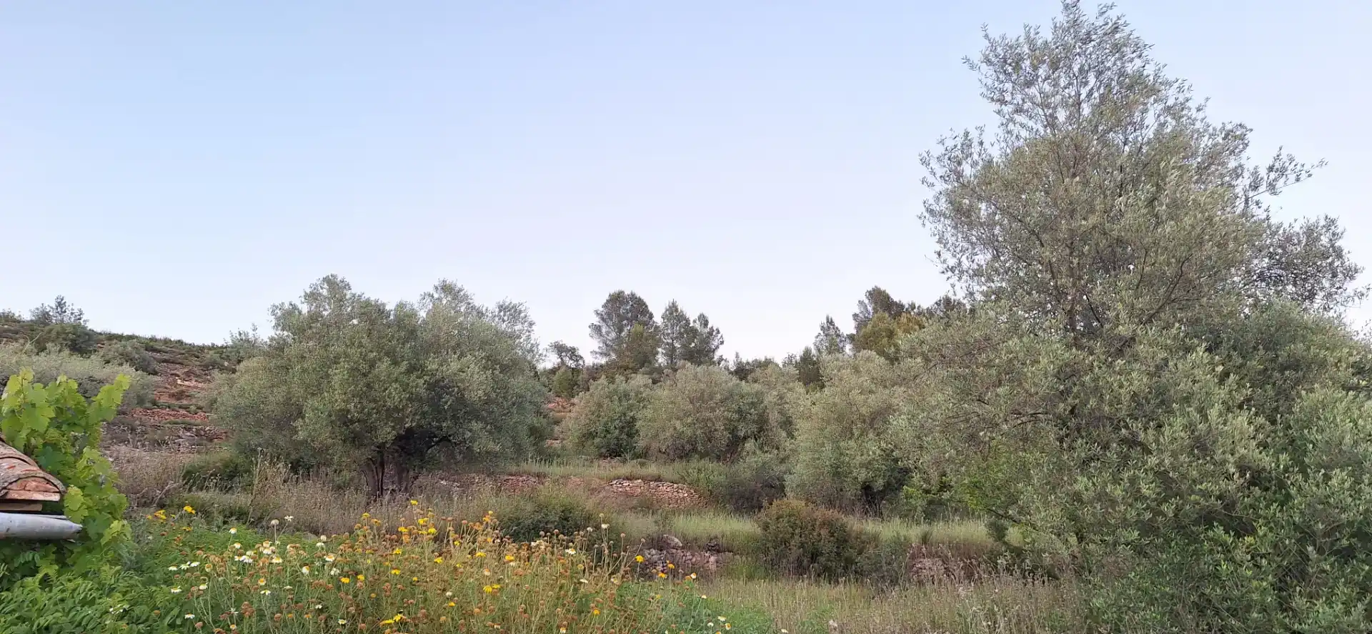 Finca rústica en venda en Vall d'Alba
