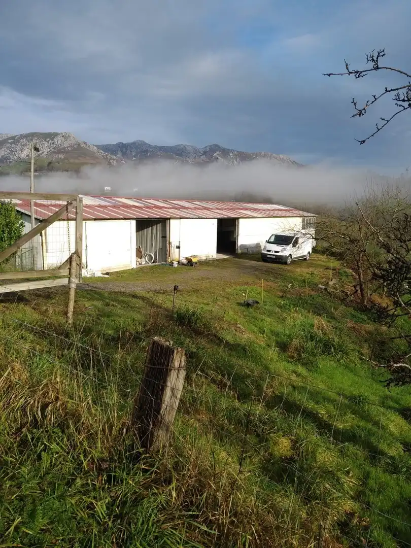 Außenansicht von Fabrikhallen zum Verkauf in Piloña