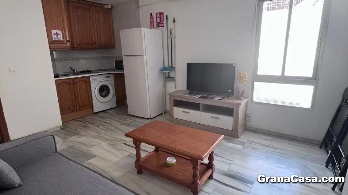Living room of Flat for rent in Granada  with Air Conditioner, Heating and Private garden