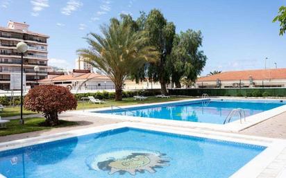 Swimming pool of Planta baja for sale in Arona  with Private garden, Terrace and Swimming Pool