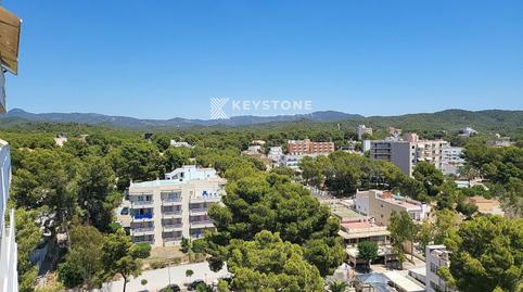 Photo 2 of Flat to rent in Calle Galatzo, Peguera, Calvià