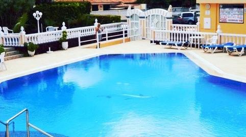 Foto 3 de Estudio de alquiler en Zona Botánico, Puerto de la Cruz