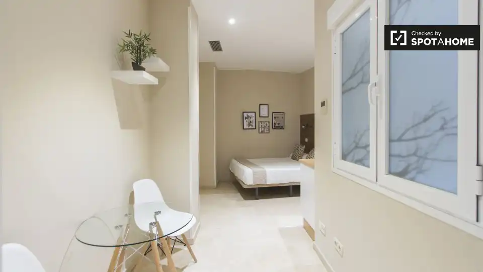 Wohnung zur Miete in Centro, imagen 17