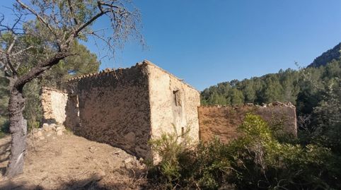 Foto 3 de Finca rústica en venda a Tivissa, Tarragona