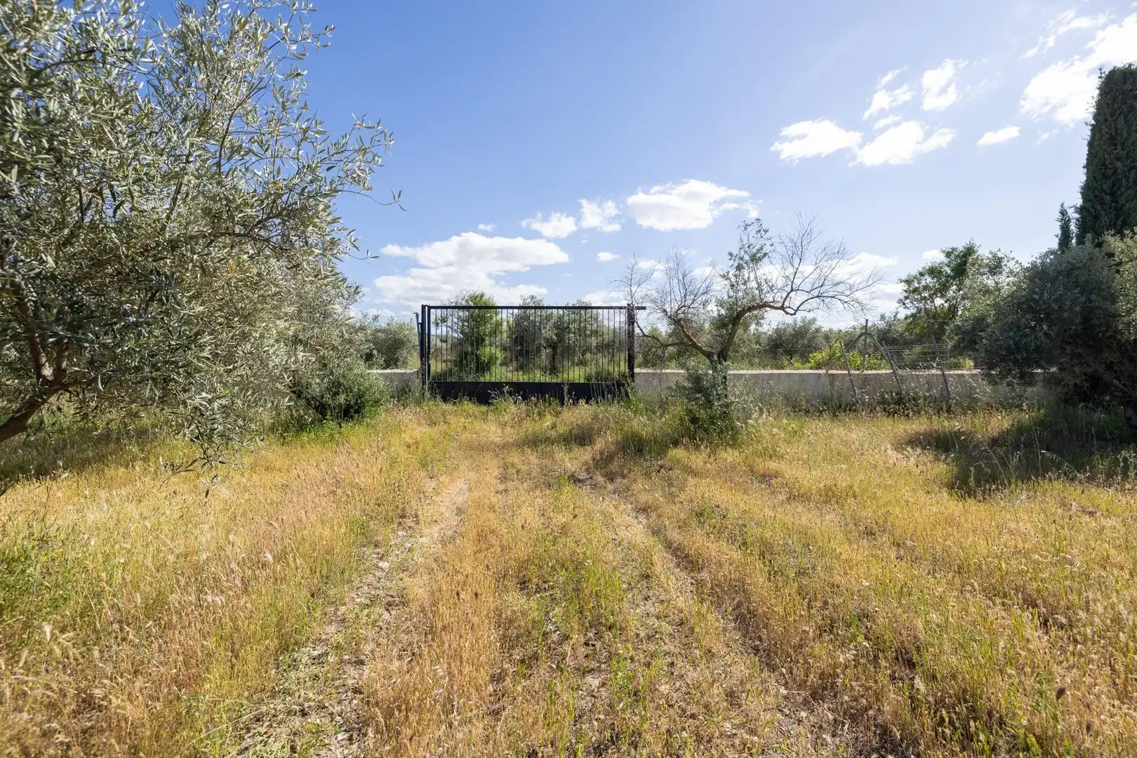 Rural land for sale in Polígono 3 Parcela 220 Arnique, imagen 6