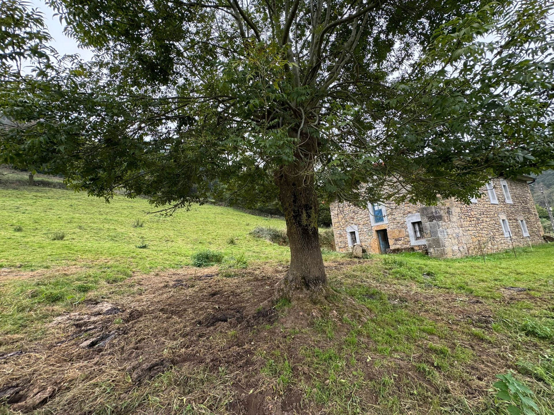 Country house zum verkauf in Entrambasaguas