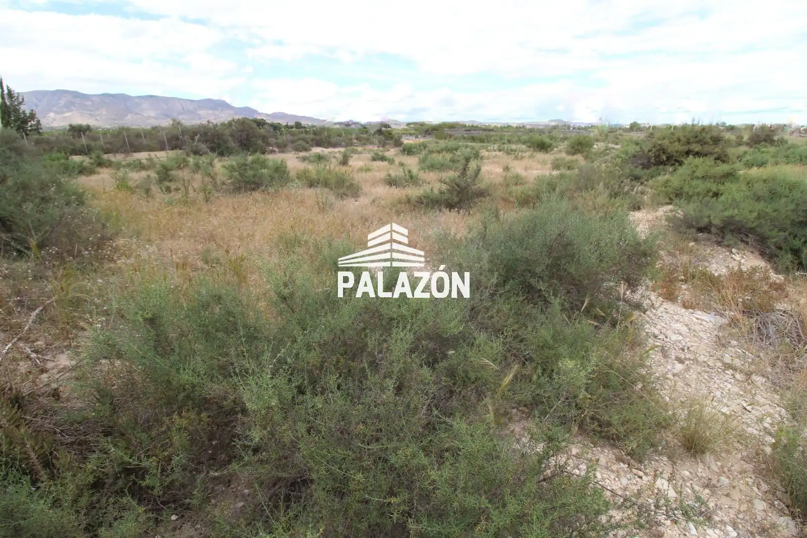 Local comercial en venta en Crevillent, imagen 10