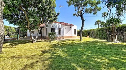 Foto 3 de Casa o chalet en venta en Loreto, Espartinas
