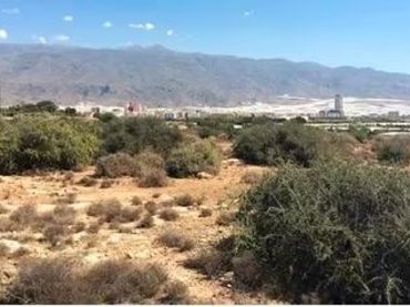 Terreno residenziale in vendita a El Ejido Ciudad