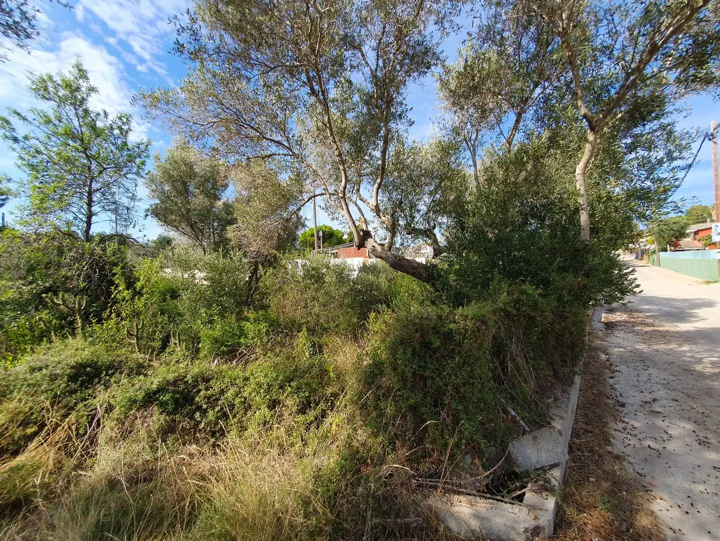 Terrain rustique à vendre à Carrer Riu Francolí 44, imagen 9