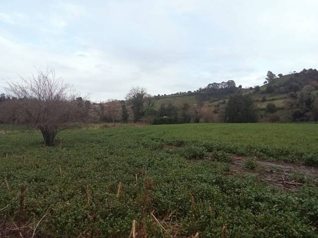 Terreno residencial en Venta en Santurio