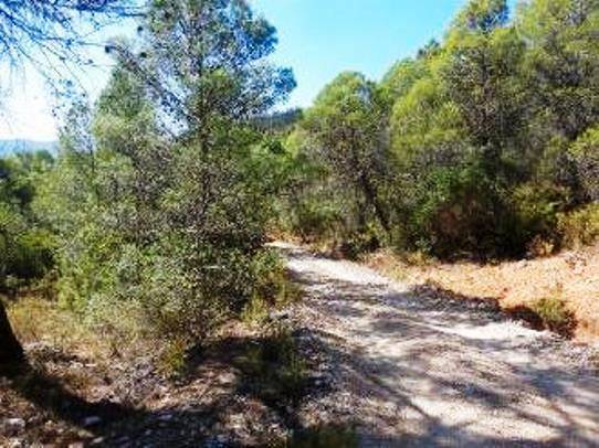 Terreno en Venta en Villanueva del Arzobispo