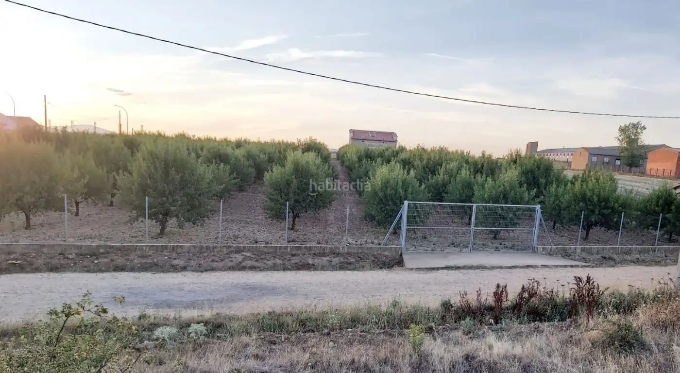 Terreni e lotti in vendita a Calle Carrizo 13, imagen 3