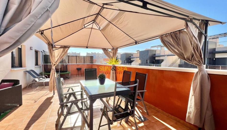 Photo 1 of Apartment to rent in Villamartín - Las Filipinas, Alicante