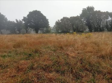 Terreno rustico in vendita a Barrio - Felmil