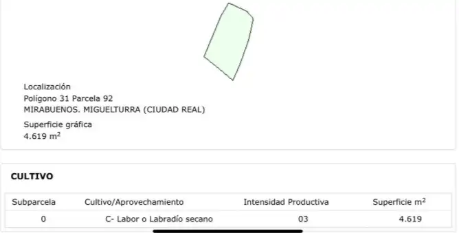 Houses for sale in Miguelturra