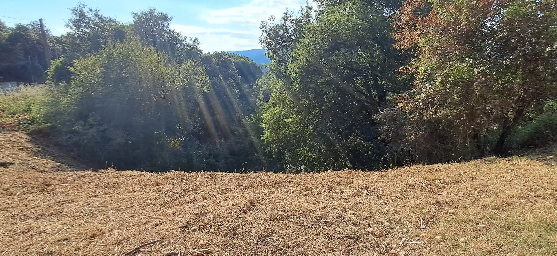 Residential land for sale in Carrer Pi Gros, imagen 10