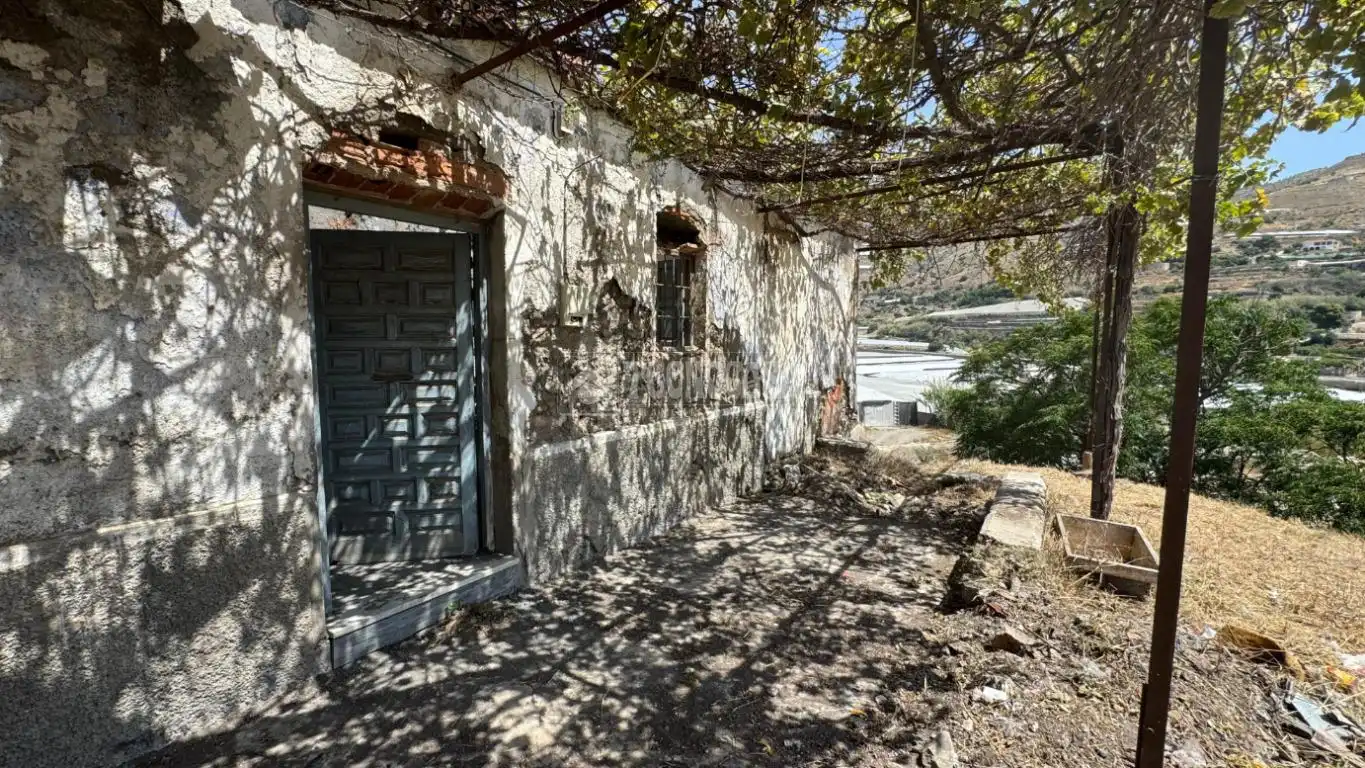 Vista exterior de Finca rústica en venda en Albuñol