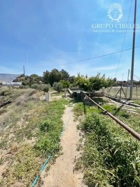Finca rústica en venta en Pechina