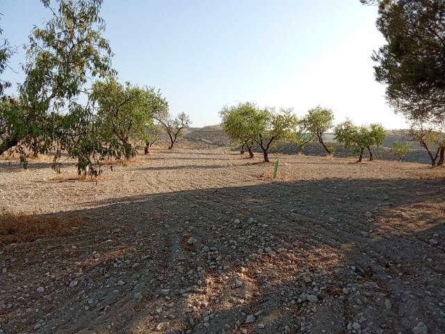 Terreno en Venta en Avenida Castillo Tajarja, 12 en Chimeneas