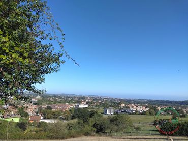 Terreno residenziale in vendita a Vega - CM SUCU VEGA 215