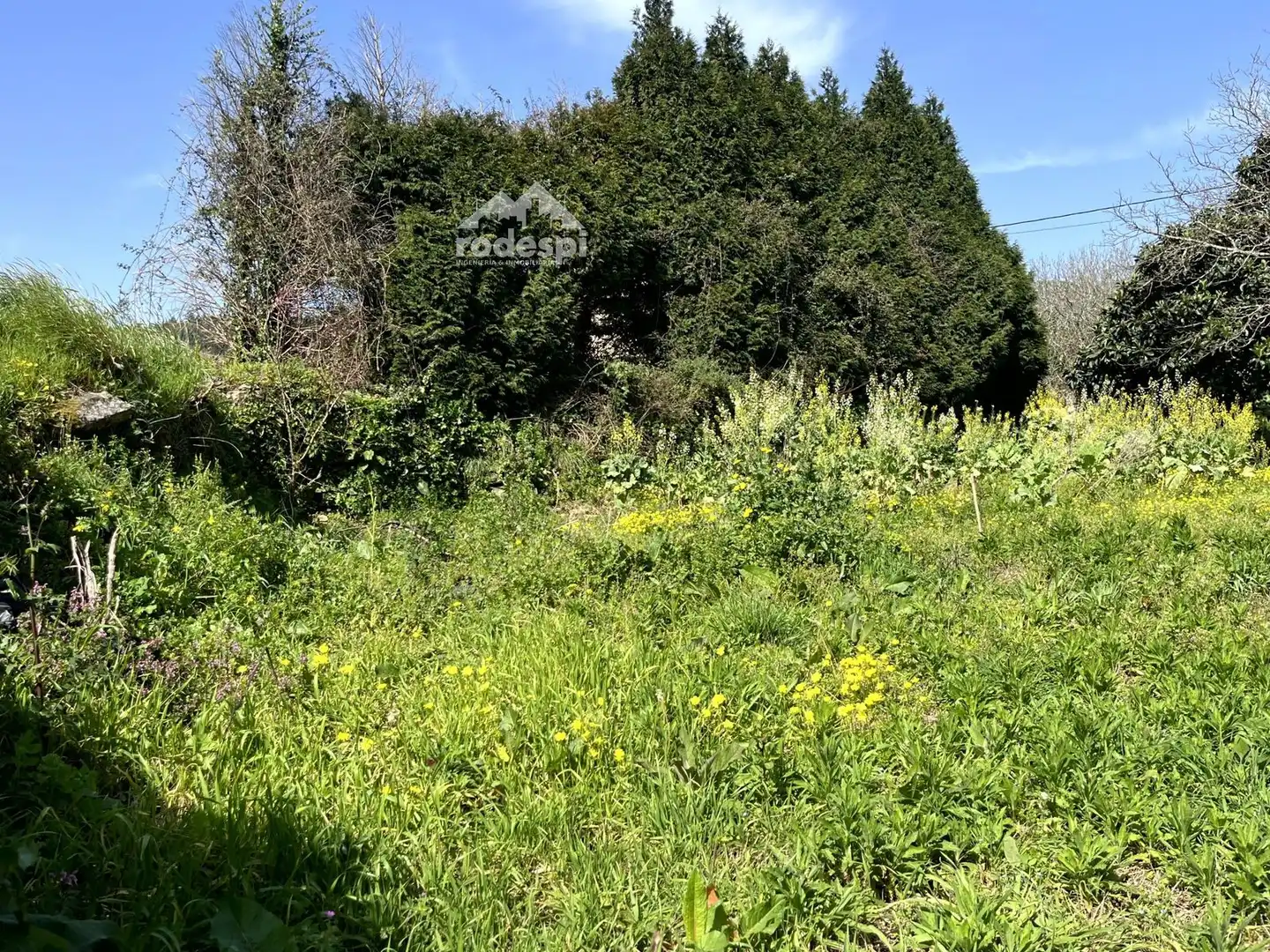 Rural land for sale in Arbo, imagen 2