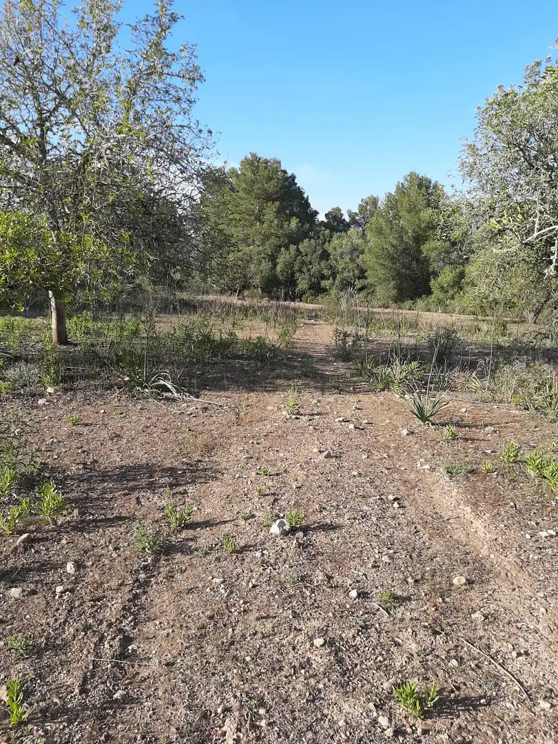 Terrain rustique à vendre à Sant Joan, imagen 15