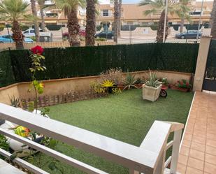 Garden of Planta baja to rent in Orihuela  with Air Conditioner and Swimming Pool