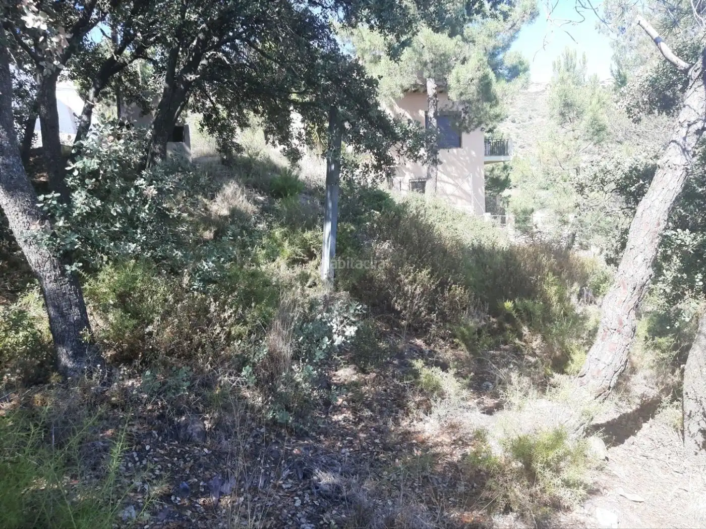 Rural land for sale in Calle Vista Alegre 14, imagen 3