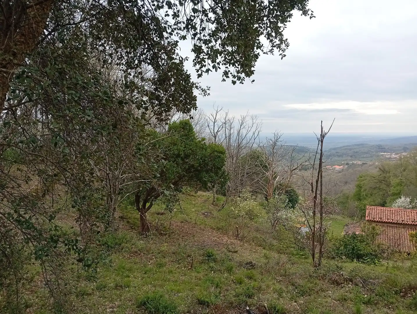 Terreni e lotti in vendita a Valverde de la Vera, imagen 48