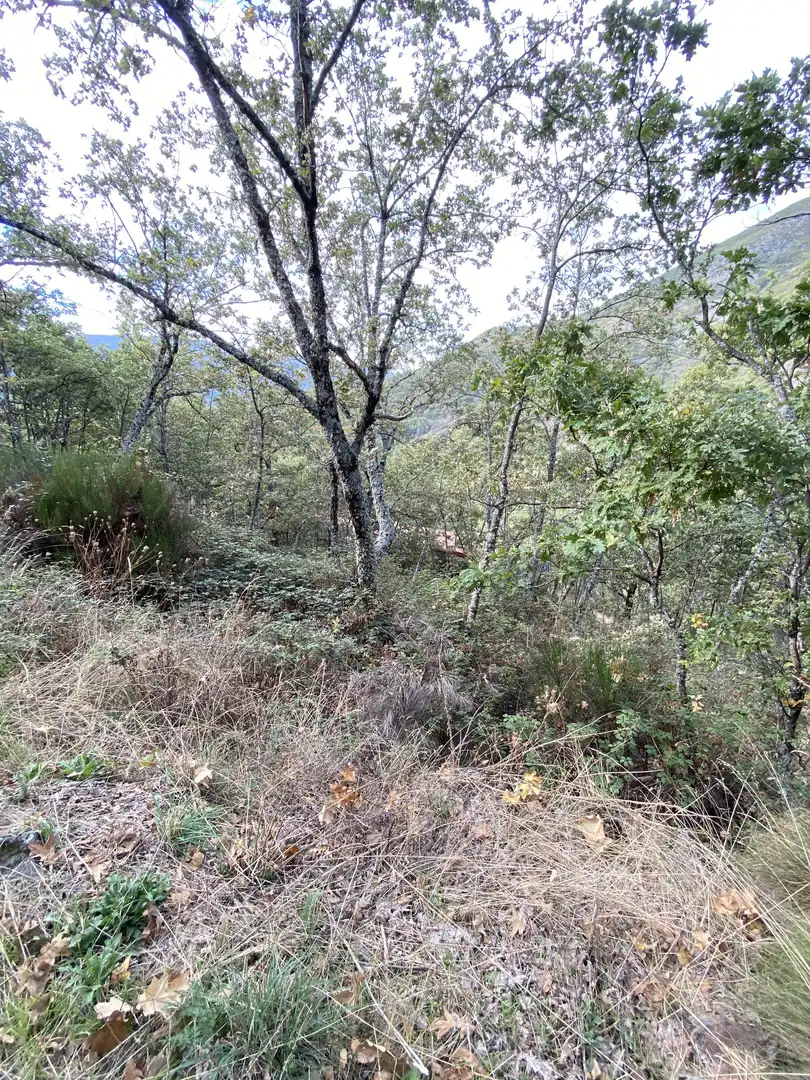 Terreno en venta en Tornavacas