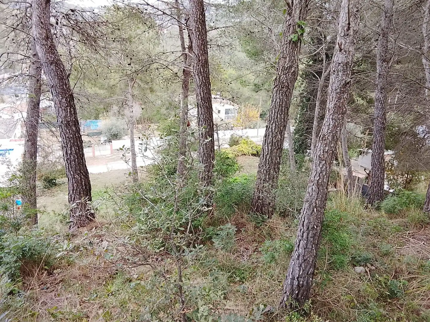 Terrain rustique à vendre à Puig Moltó - Can Macià, imagen 14