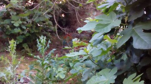 Foto 3 de Casa o xalet en venda a Cascajares de Bureba, Burgos