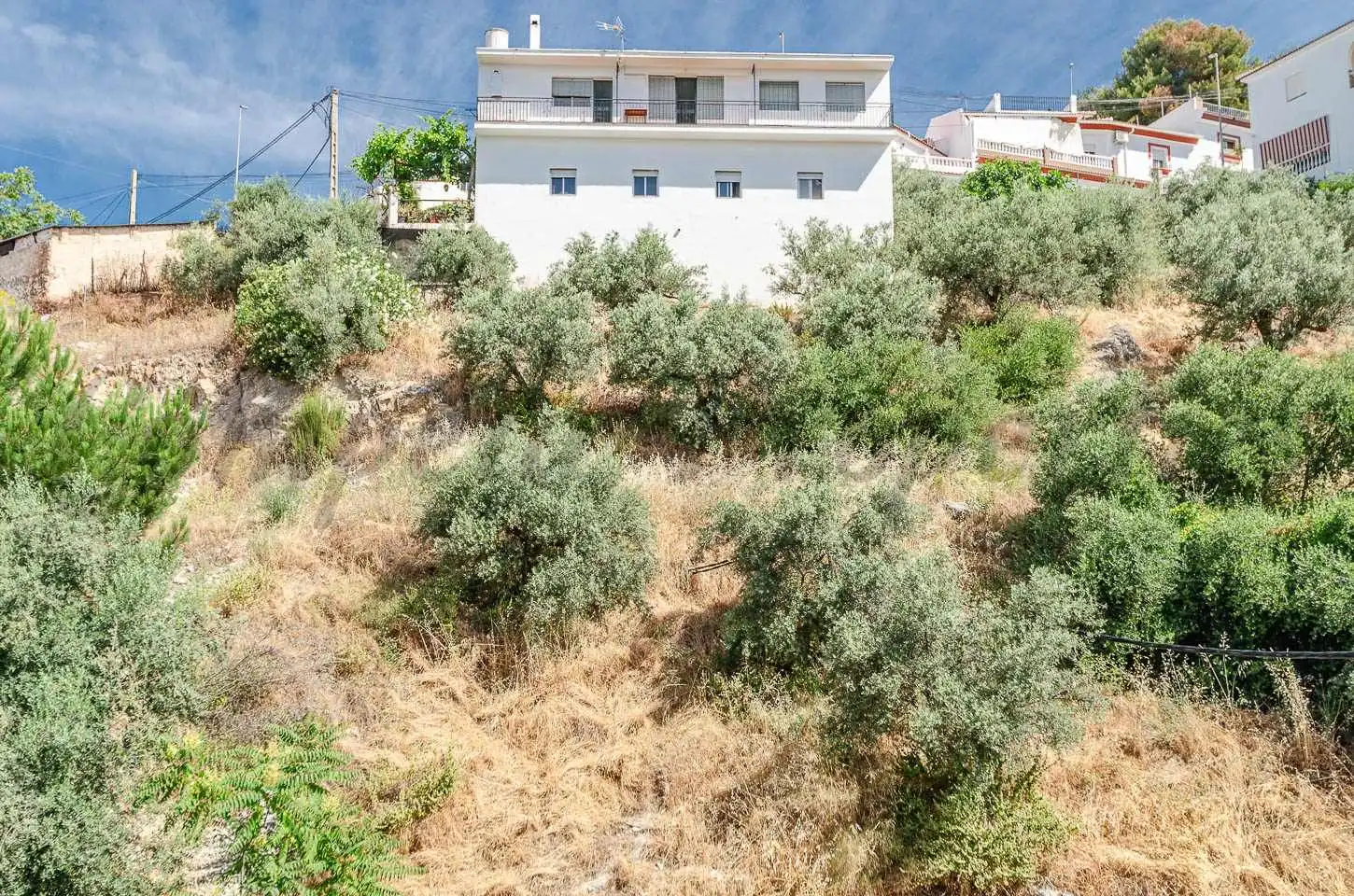 Maison avec jardin à vendre à Cómpeta