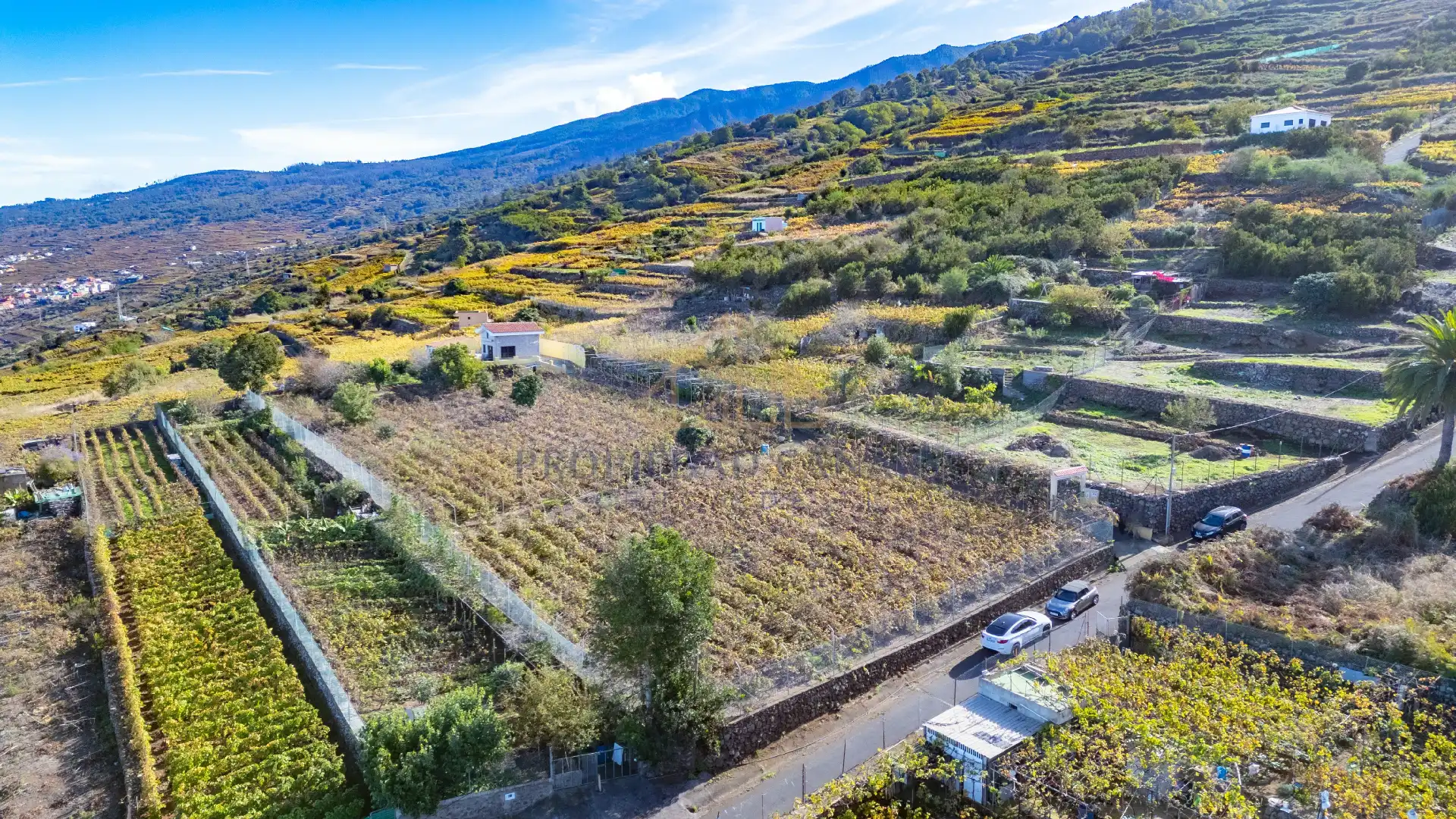 Finca rústica en venda en Santa Úrsula amb Terrassa