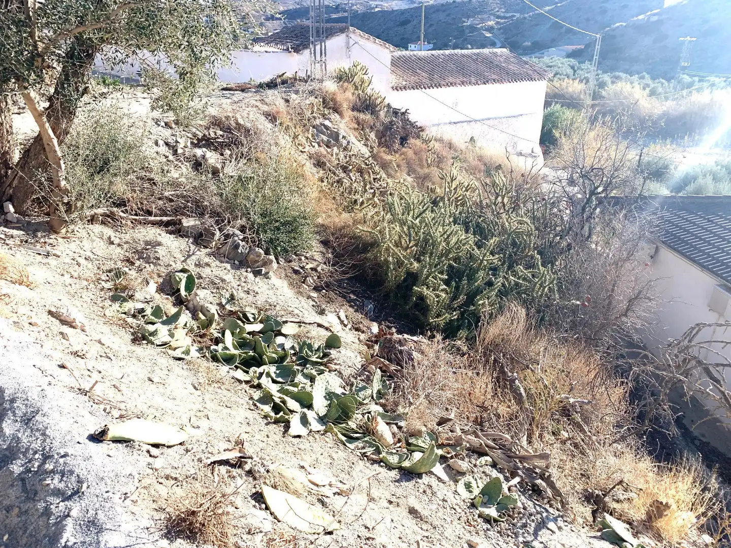 Casa rustica in vendita a Oria, imagen 14